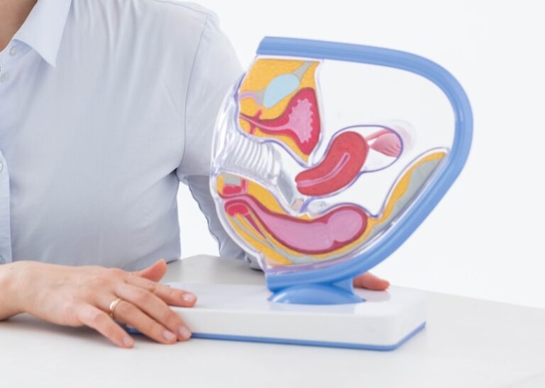 Biological Determinism: The Psychology of the Female Ovary