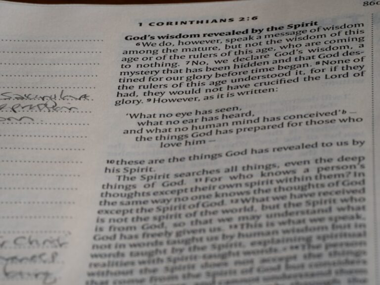 Conduction Aphasia: The Mystery of the Broken Connection