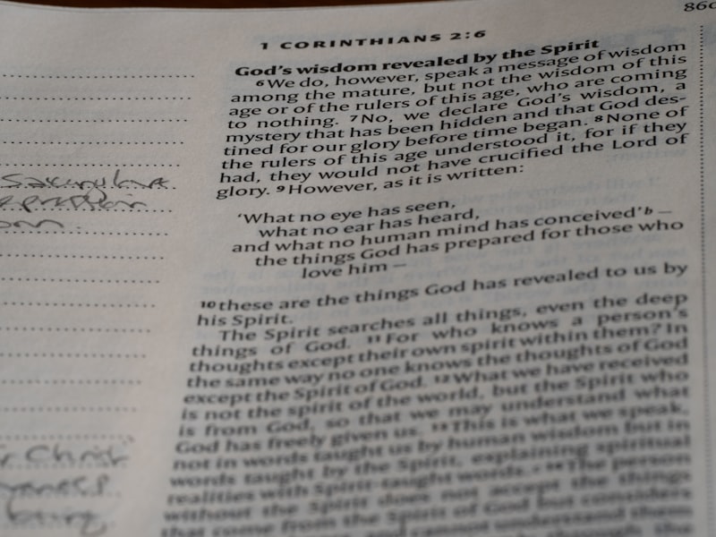 Conduction Aphasia: The Mystery of the Broken Connection