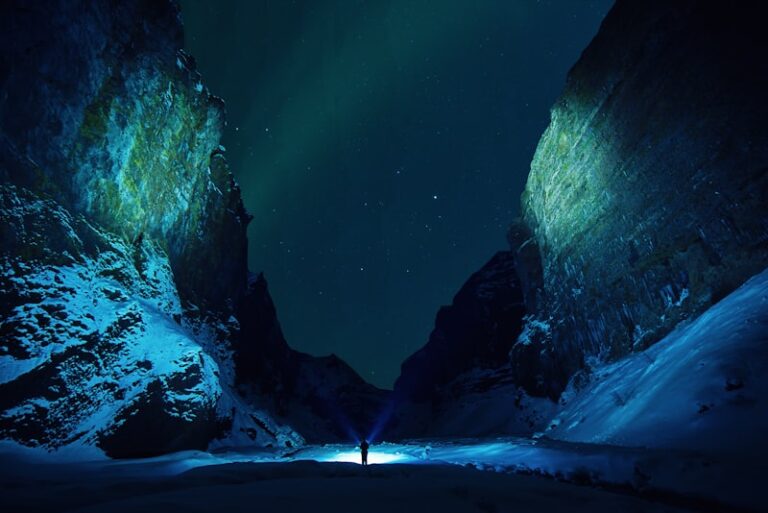 Epigenetic Landscapes: How Your Choices Shape Your Mind