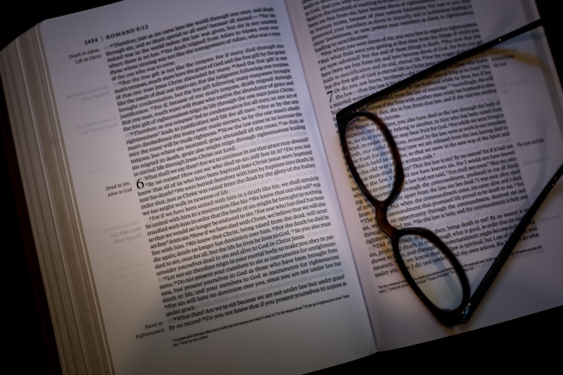 Expert Testimony: Unlocking the Power of Scholarly Evidence