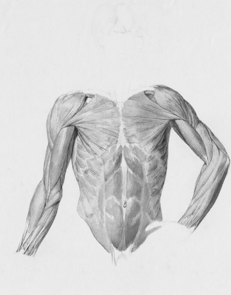 Involuntary Muscle: The Hidden Psychology of Tension