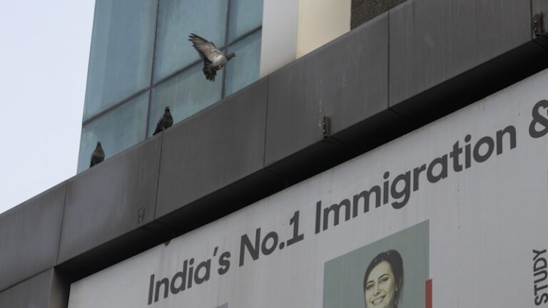 Migration Adaptation: Thriving in a New Cultural Landscape