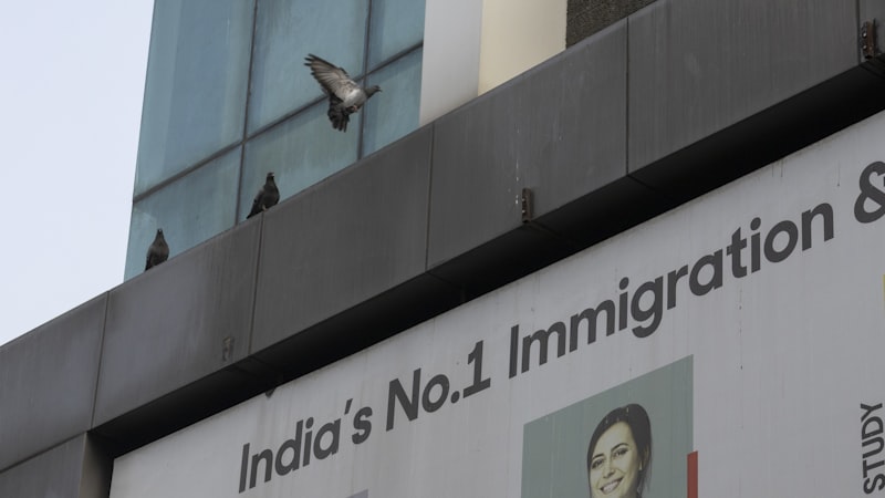 Migration Adaptation: Thriving in a New Cultural Landscape