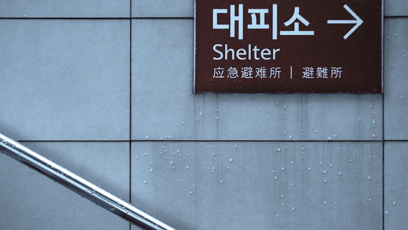 Shelter Care: A Haven for Healing and Safety
