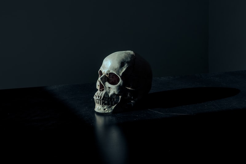 Thanatology: Exploring the Psychology of Death