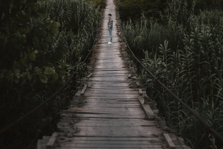 Transitional Living: Bridging the Path to Self-Reliance