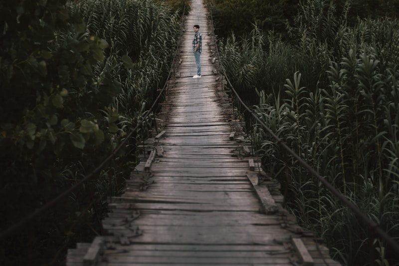 Transitional Living: Bridging the Path to Self-Reliance