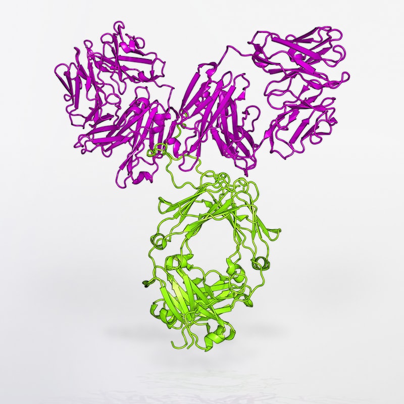 Unconditioned Response: Biology’s Built-in Reaction