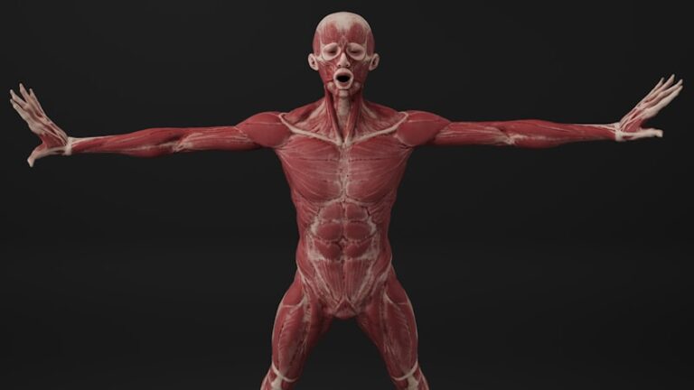 Alien Limb Syndrome: When Your Body Rebels Against You