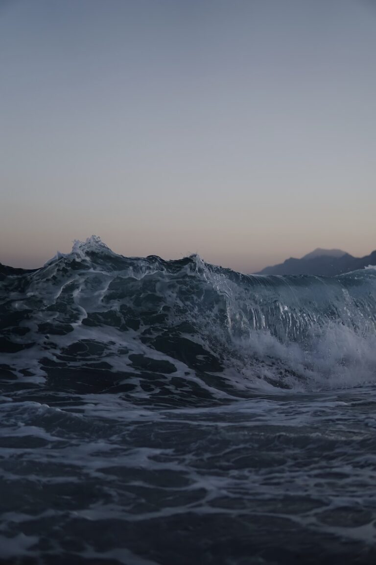 Alpha Waves: Unlock Your Brain's Calm State of Focus