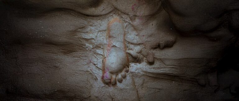 Anandria: Unlocking the Roots of Sexual Dimorphism