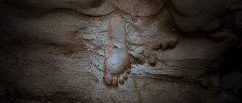 Anandria: Unlocking the Roots of Sexual Dimorphism
