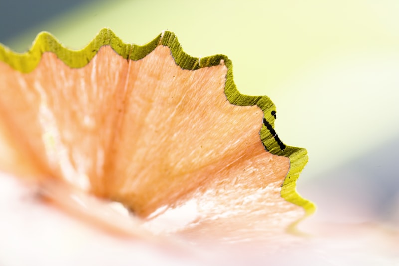 Attentiveness: The Science of Sharpening Your Daily Focus