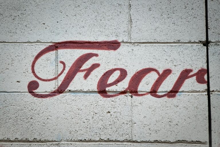 Automated Desensitization: Tech-Driven Fear Erasure