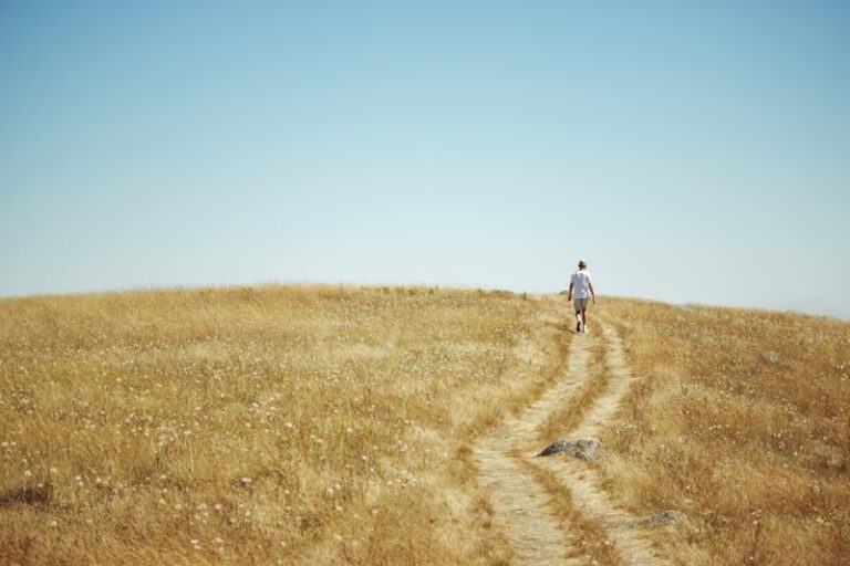 Bereavement: Navigating the Complex Path of Human Loss