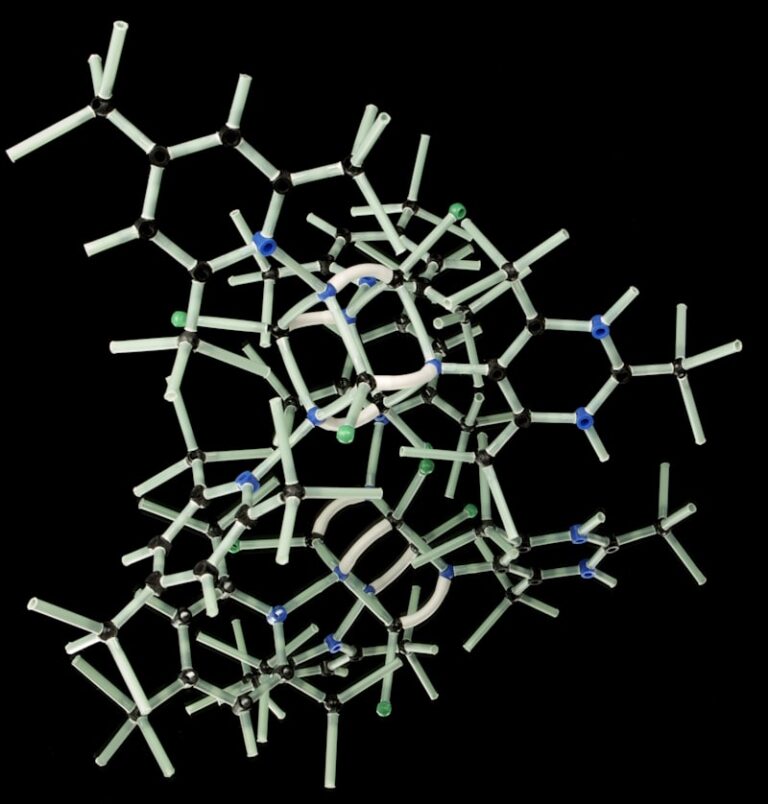 Biogenic Amines: The Chemical Architects of Your Mind