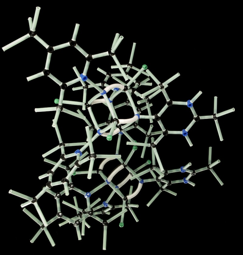 Biogenic Amines: The Chemical Architects of Your Mind