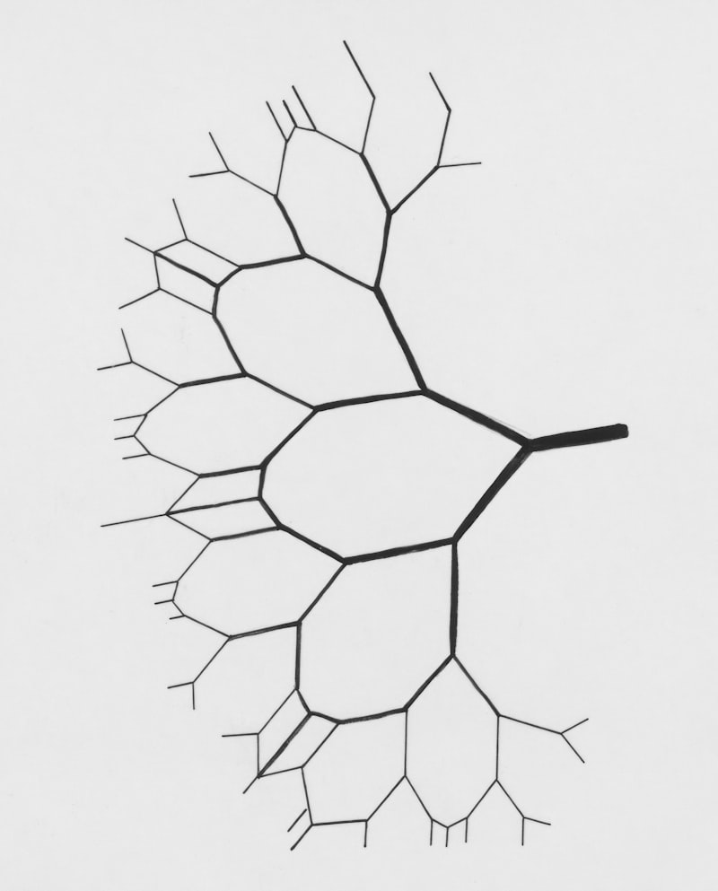 Biological Taxonomy: Mapping the Architecture of Life