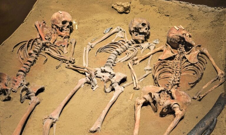 Bone Age: Decoding the Hidden Timeline of Human Growth