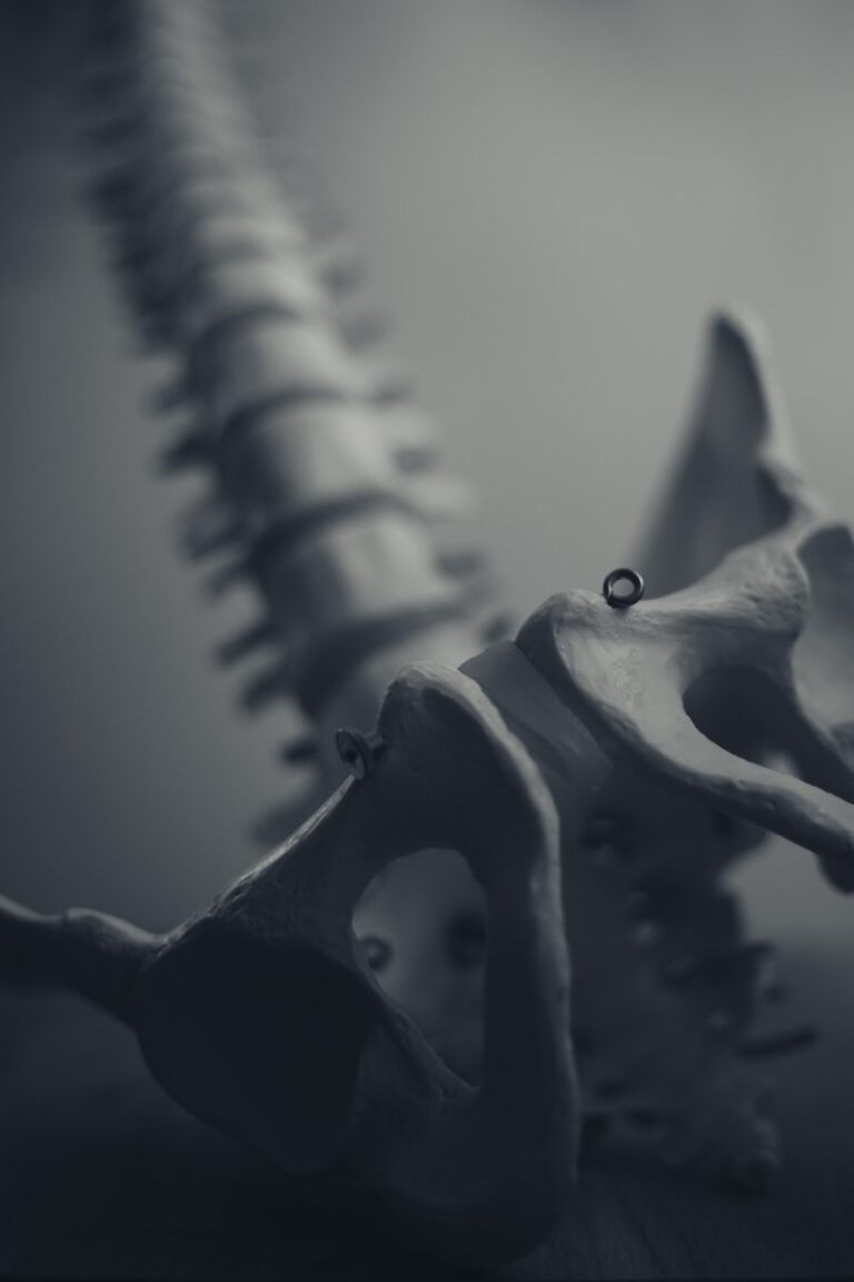 Crepitation: Decoding the Psychology of Joint Sounds