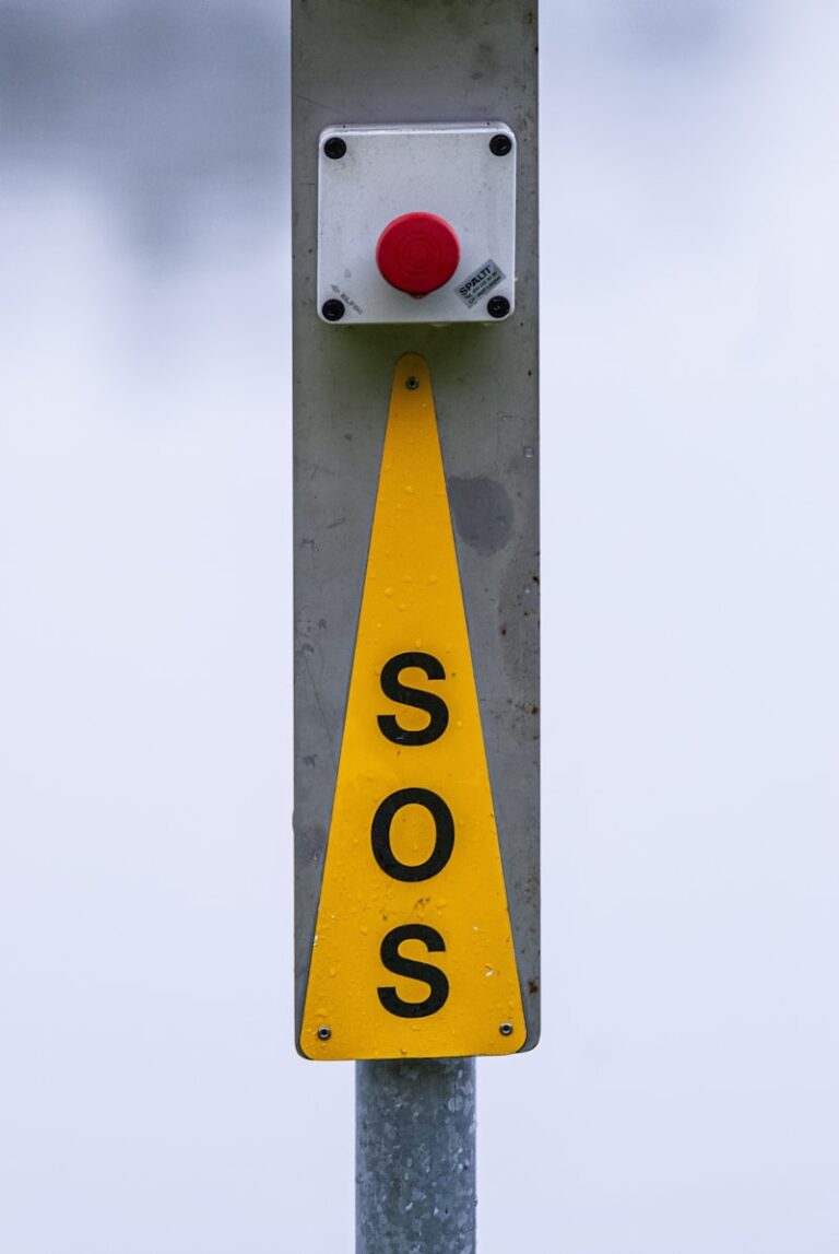 Crisis Intervention: Your Immediate Path to Emotional Safety
