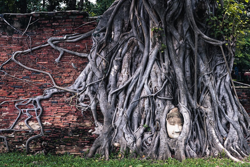 Cultural Heritage: How Our Roots Shape the Modern Mind
