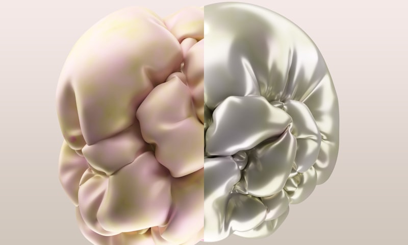 Difference Judgment: Master the Art of Sensory Perception