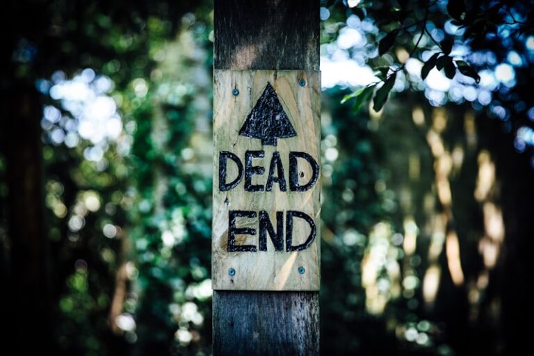 Environmental Psychology: Navigating Life’s Dead Ends