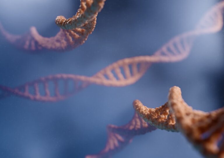 Epigenetic Theory: Beyond Genes to Mind Development