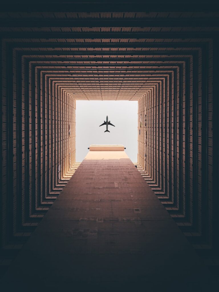 Escape Behavior: The Psychology of Survival and Flight