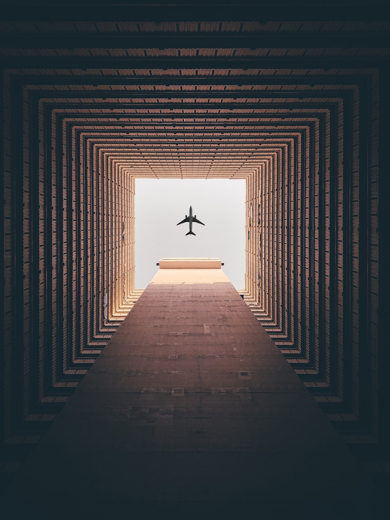 Escape Behavior: The Psychology of Survival and Flight