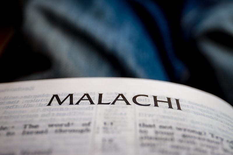 Malice Aforethought: Decoding the Roots of Criminal Intent