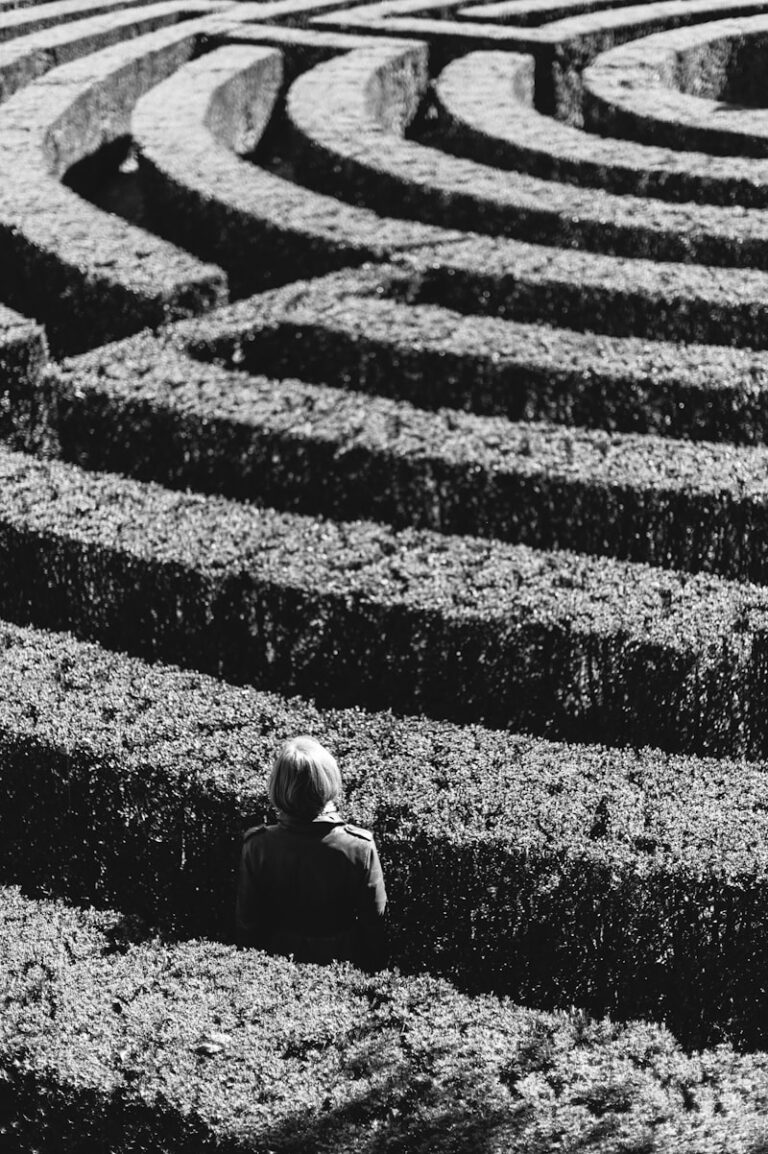 Maze Learning: Decoding the Secrets of Spatial Cognition
