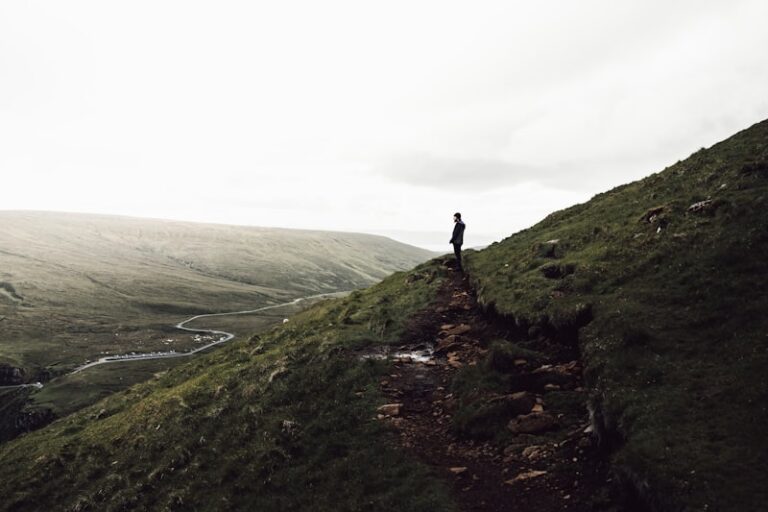 Metaneeds: The Path to Your Highest Potential