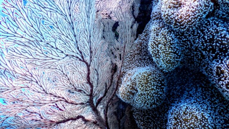 Naturalist Intelligence: Decoding the Secrets of Nature