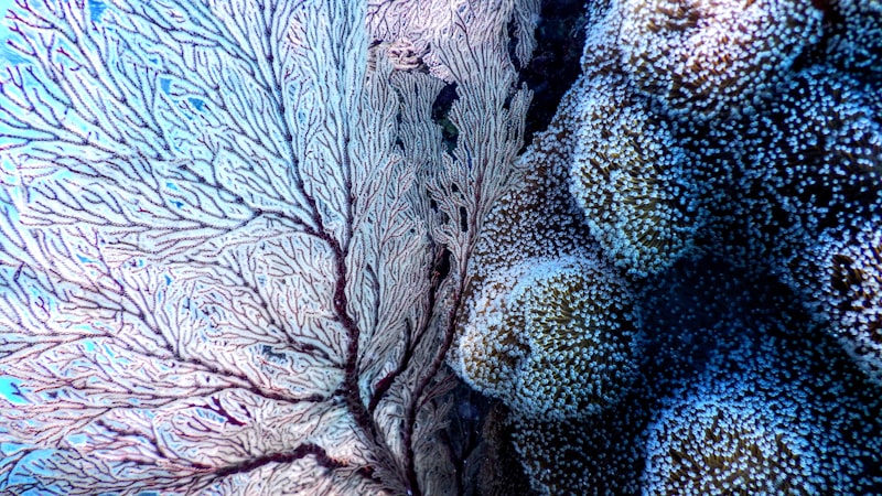 Naturalist Intelligence: Decoding the Secrets of Nature