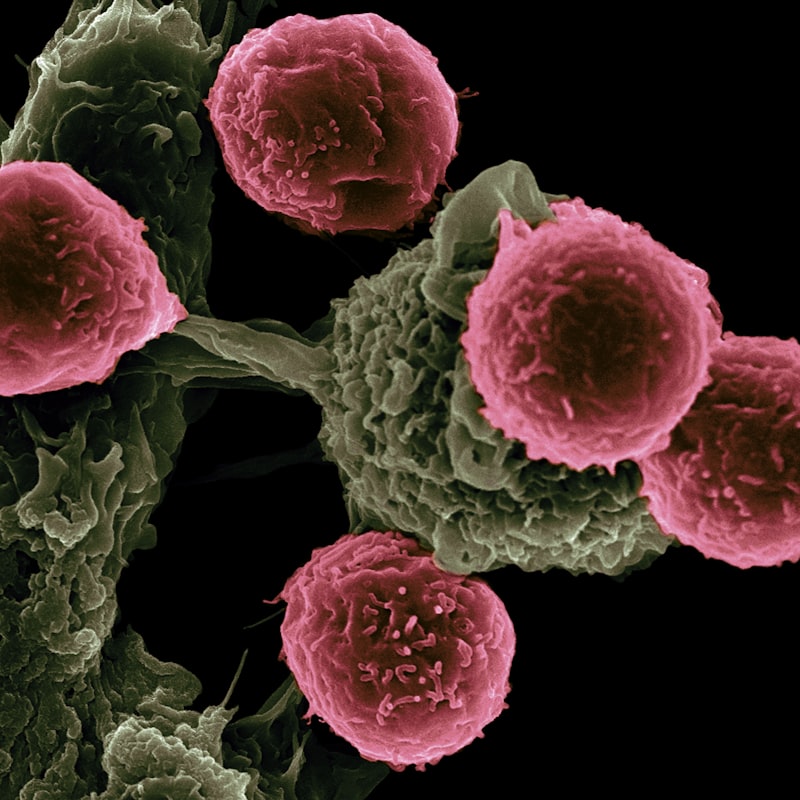 Predictive Health: Empowering Early Cancer Detection