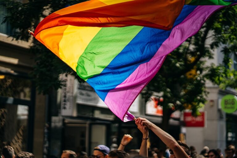 Primary Homosexuality: Understanding Human Diversity