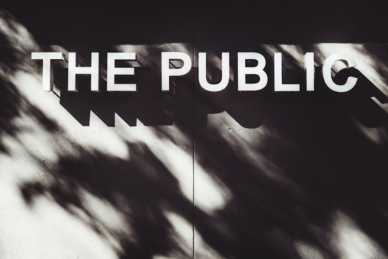 Public Opinion: Decoding the Collective Mind