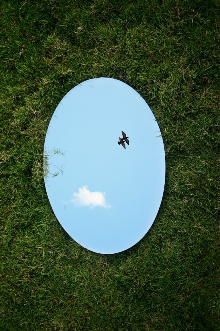 Reflection-Impulsivity: Think Fast or Slow?