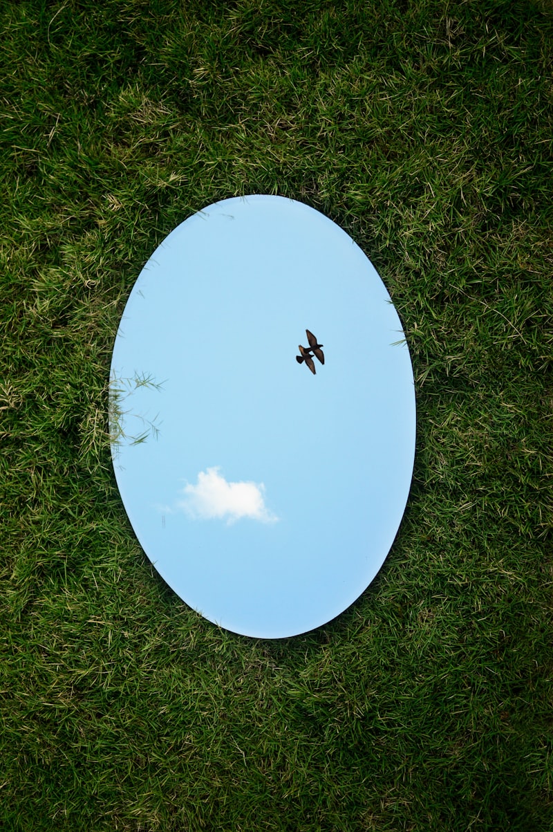 Reflection-Impulsivity: Think Fast or Slow?