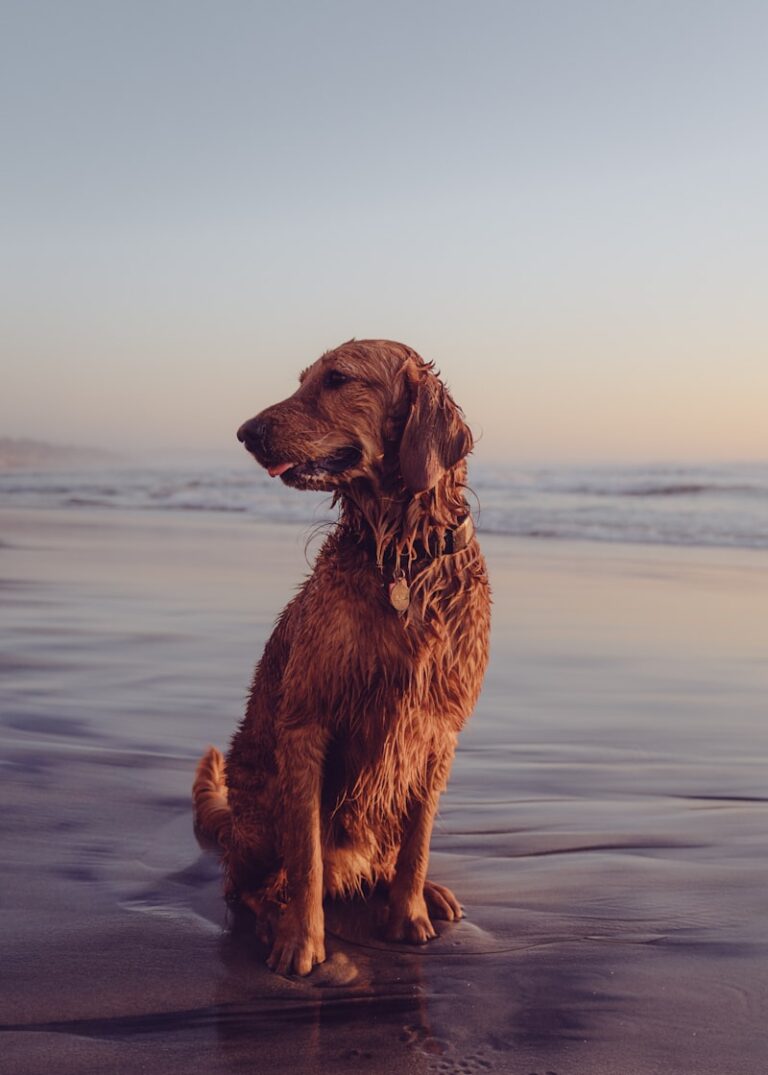 Rokeach Dogmatism Scale: Unlocking Your Cognitive Rigidity
