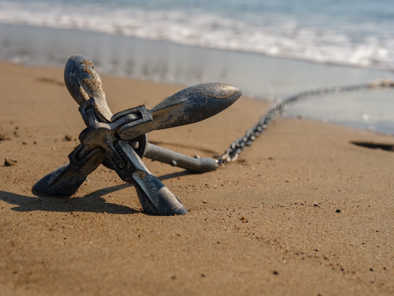 Rootedness: Finding Your Inner Anchor