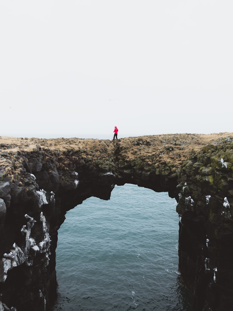 Self-Alienation: Bridging the Gap to Your True Self