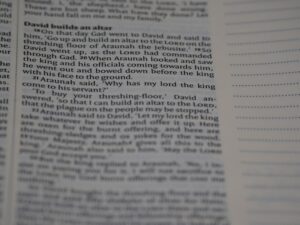 Tabula Rasa: Are We Born Blank?