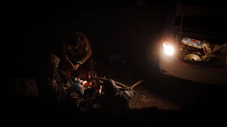 The Life Instinct: Understanding Our Core Survival Drive