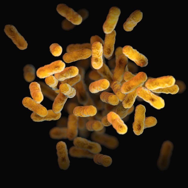 The Microbiome: How Gut Bacteria Shape Your Mental Health