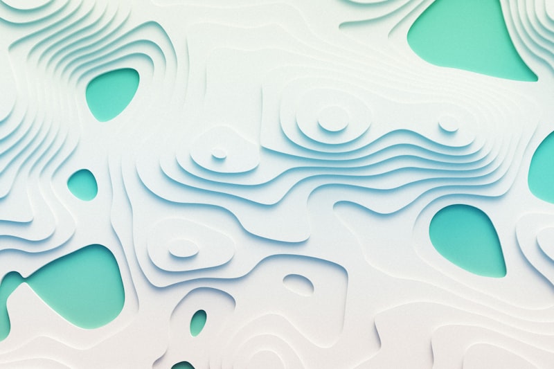 TOPOGRAPHIC MODEL