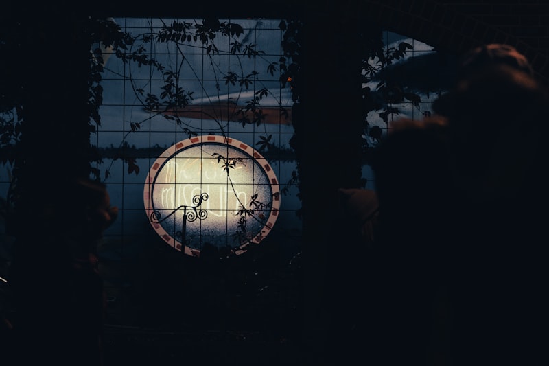 Transient Global Amnesia: The Mystery of Lost Time